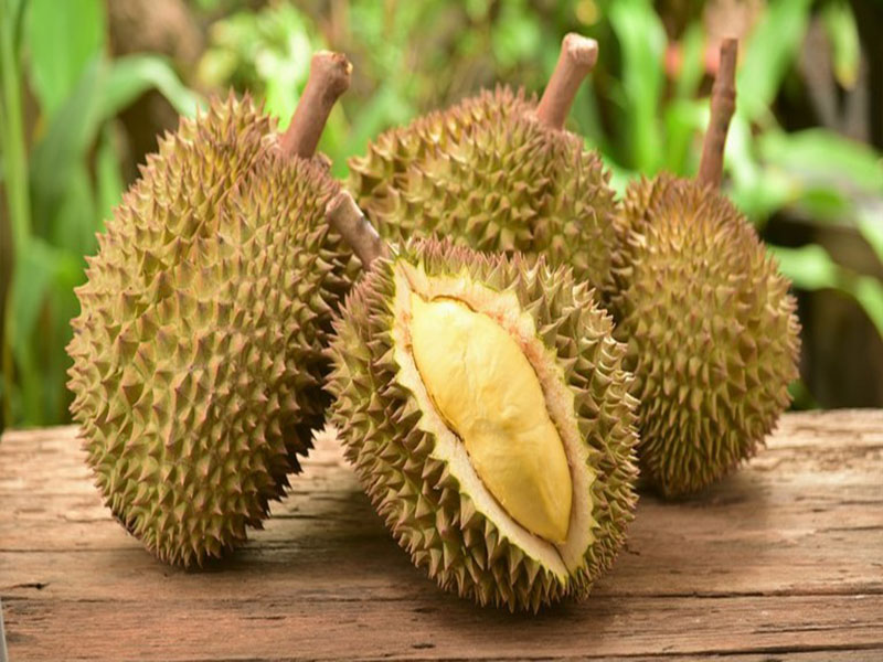 Durian fruit