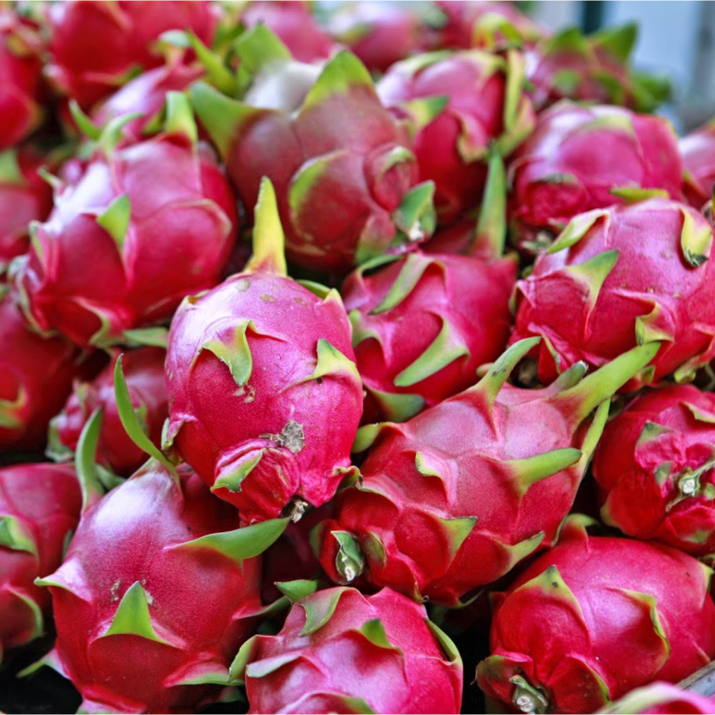 dragon fruit