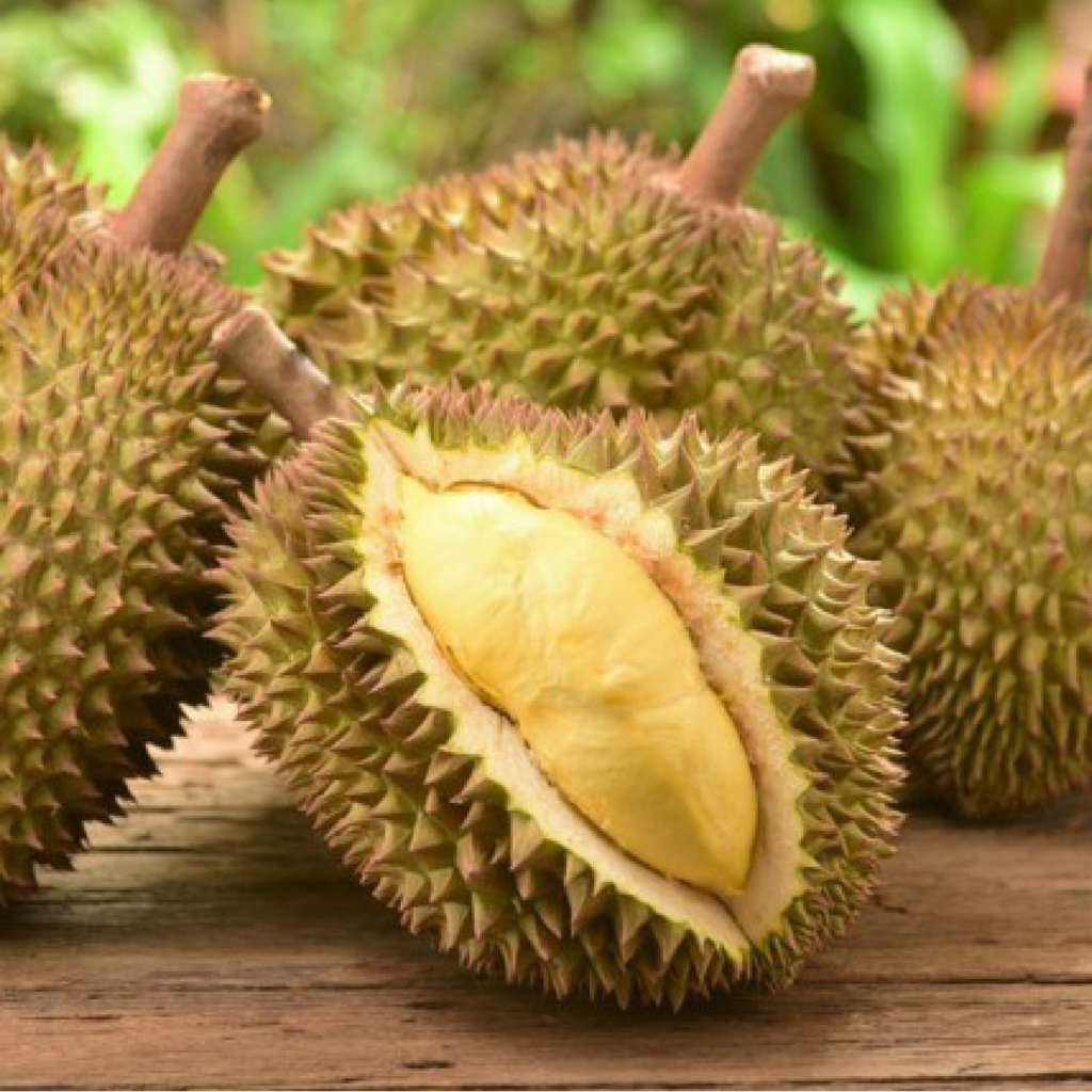 durian